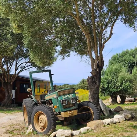 Grande Confort 4 Bonifacio (Corsica)