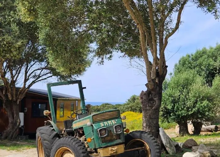 Grande Confort 4 Bonifacio (Corsica)